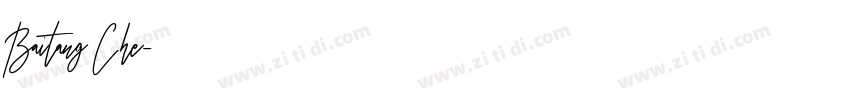 Baitang Che字体转换